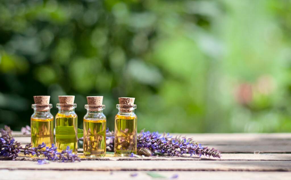 Jojoba Tagescreme mit Jojobaöl und Salbei