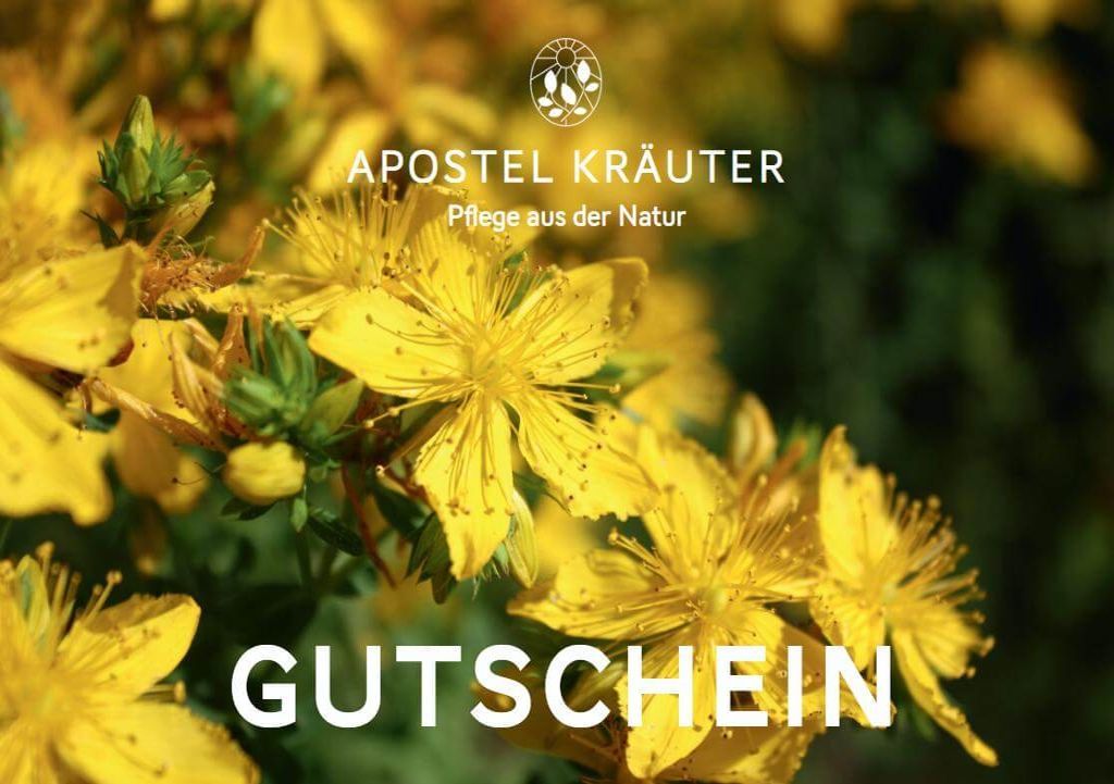 Gutschein mit Motiv Johanniskraut von unseren eigenen Feldern