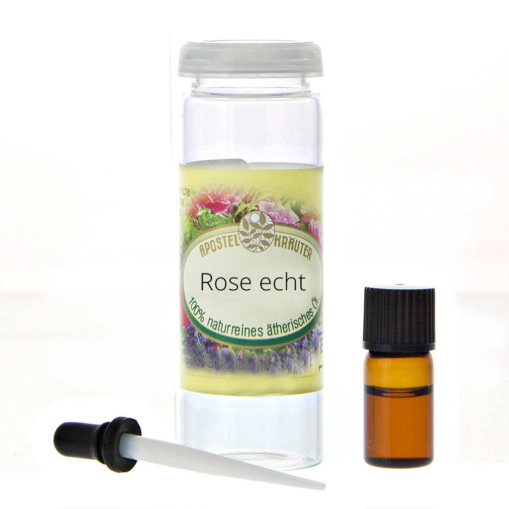 Rose echt